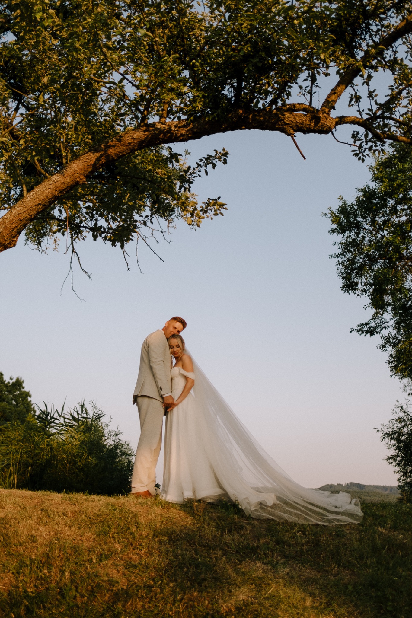 Newlyweds with a flowing veil beneath a spreading tree